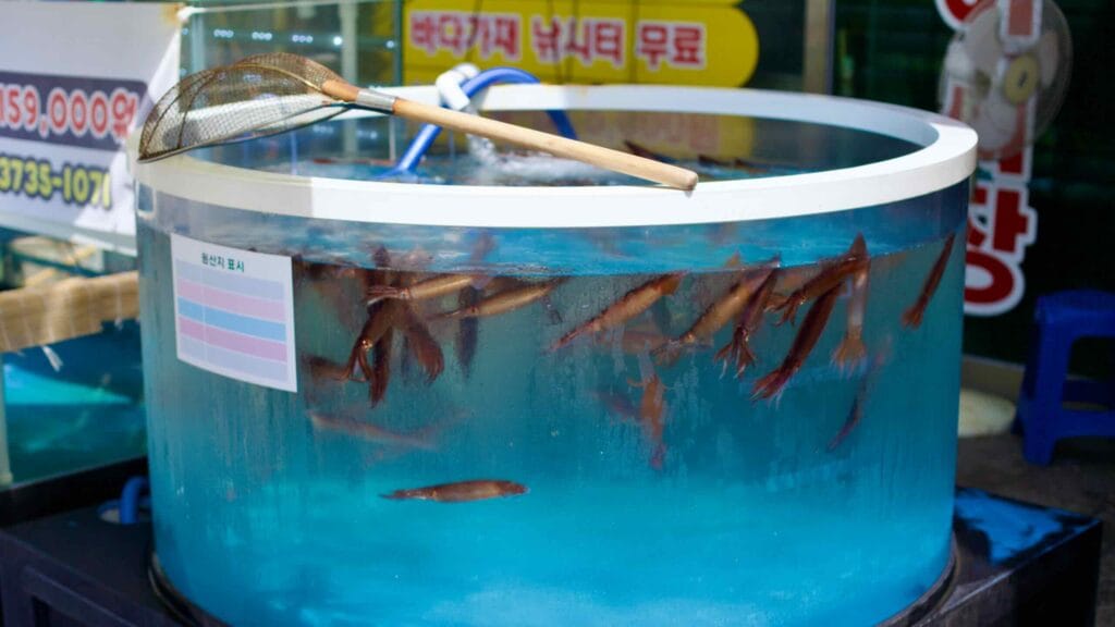 South Korea
