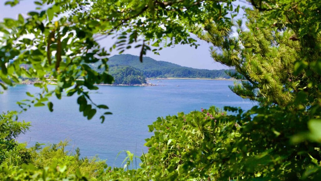 Peering through the trees, the coastline north of Daejin Port unfolds, revealing Daejin 1-ri Beach and Machajin Beach.