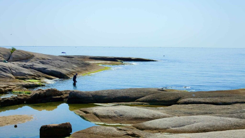seaside rocks