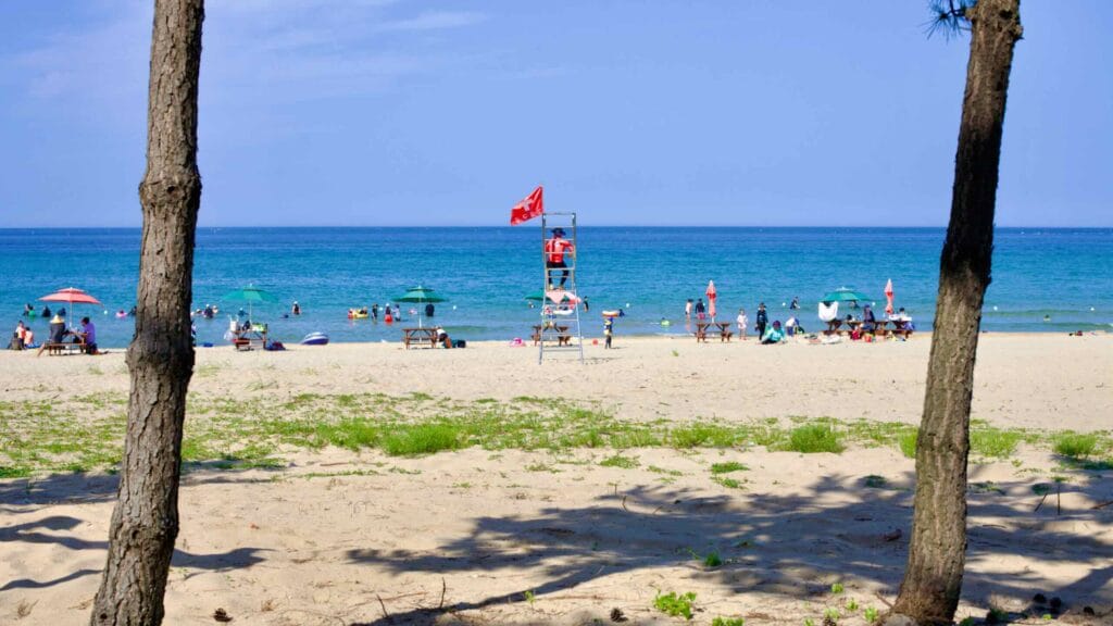 beach