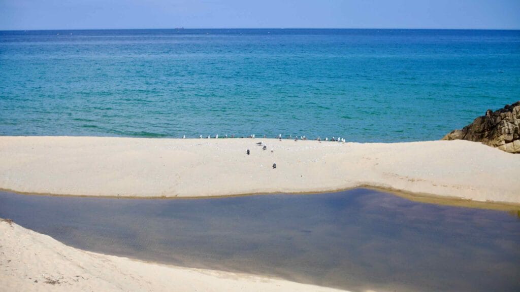 beach