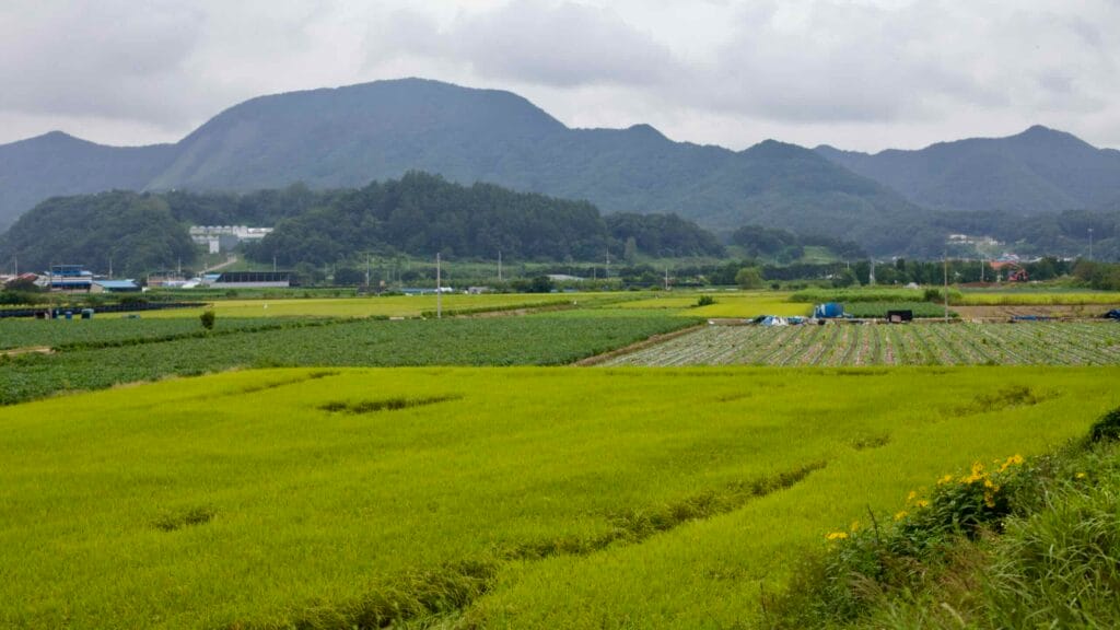 sustainable farming