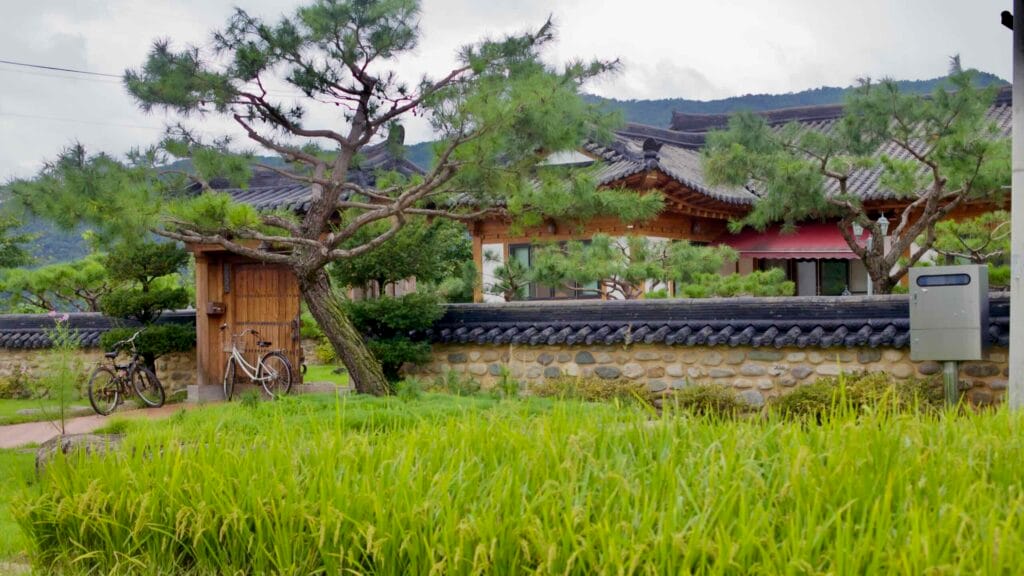 traditional Korean design