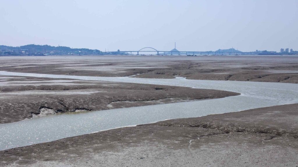 wetland habitat