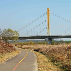 A cycling path stretches beneath the striking Miho Grand Bridge.