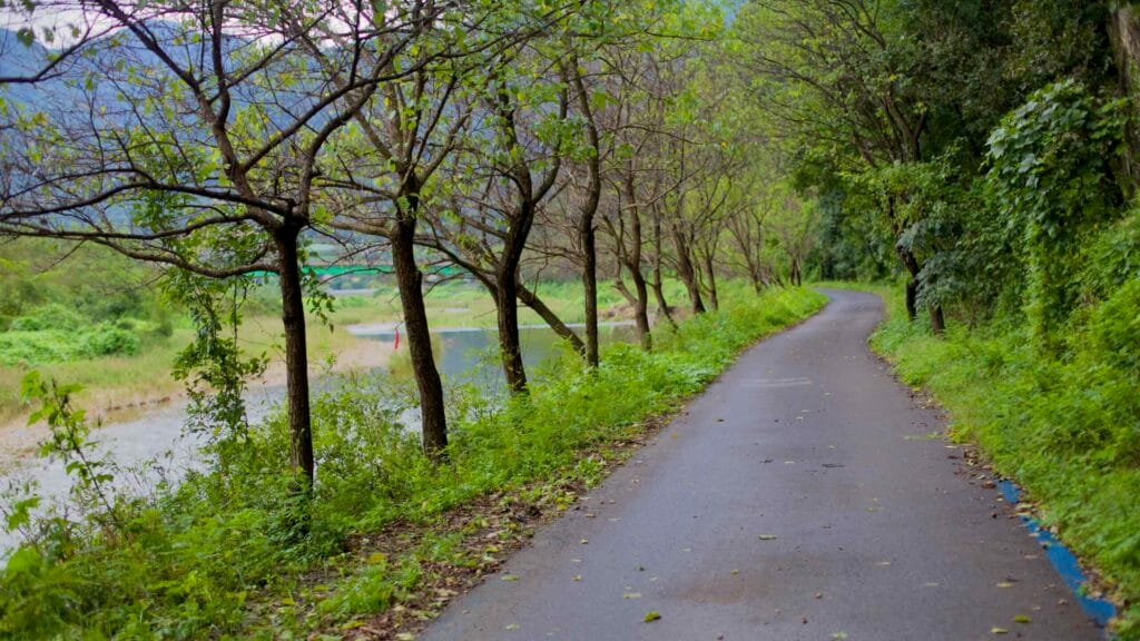bicycle touring