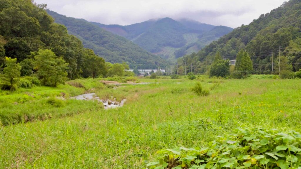 untouched nature
