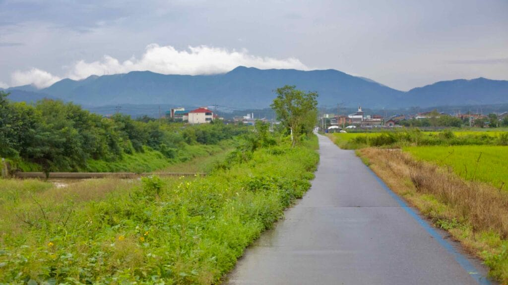 A bicycle path stretches through rice fields in Cheongju City.