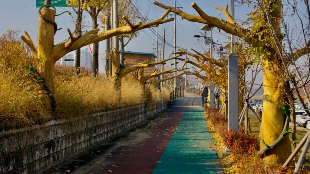 cycling tourism