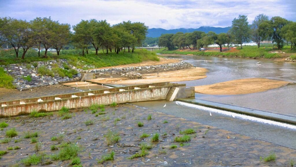 riparian zone