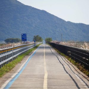 A straight section of the Yeongsangang Bike Path stretches toward a tree-lined horizon.