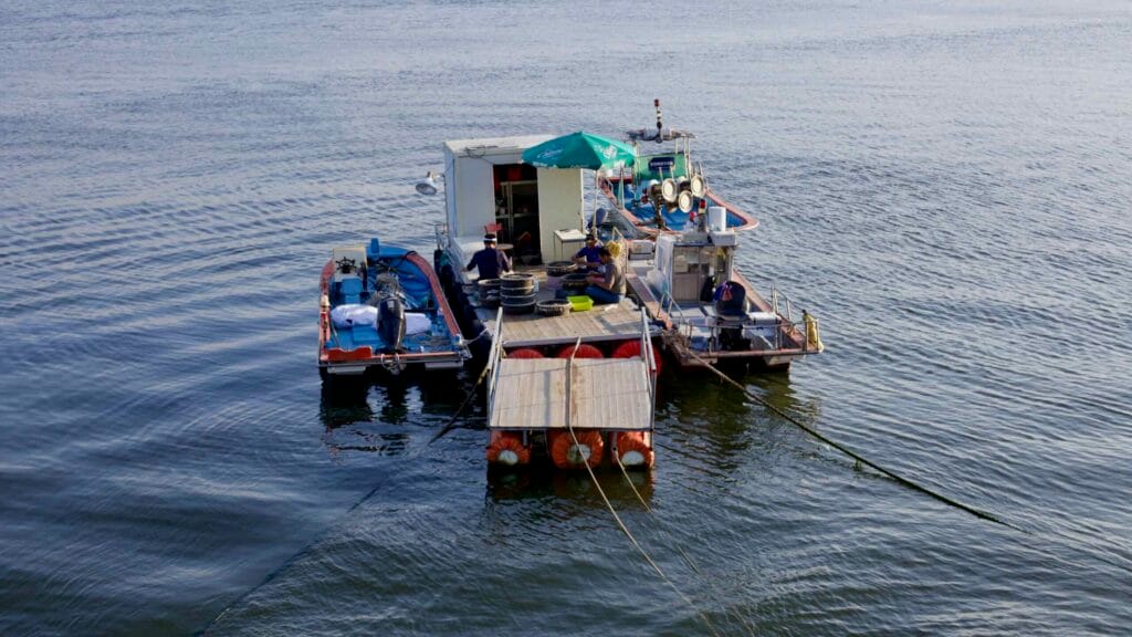 docked boats
