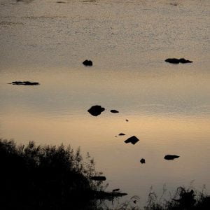 Small rocks break the surface of the calm Seomjin River.