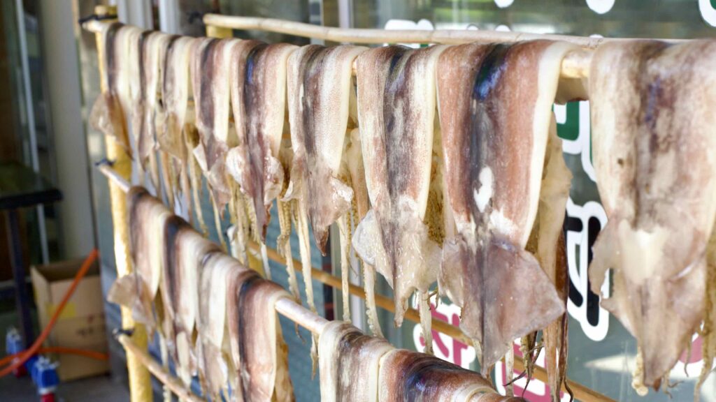 A picture of squid on the Squid Folklore Street (오징어 풍물거리가) at Giseong Mangyang Beach (기성망양해수욕장) in Uljin County, South Korea.