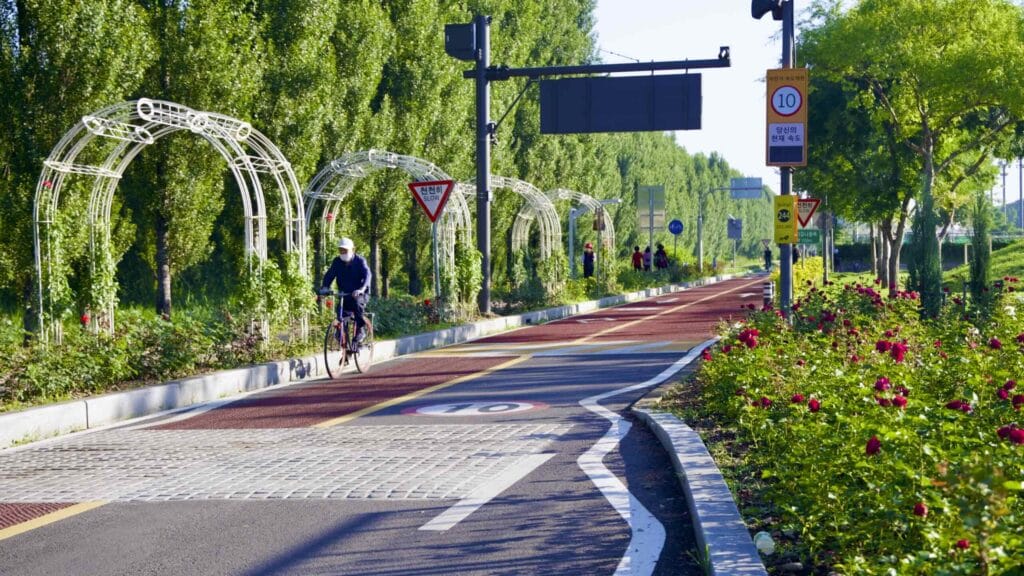 A picture of Amsa Ecological Park (암사생태공원) in Gwangnaru Hangang Park (광나루한강공원) in Seoul, South Korea.