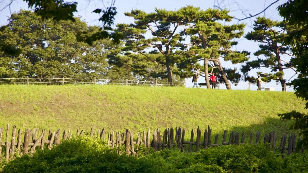 A picture of Mongchon Fortress (몽촌토성) at Olympic Park (올림픽공원) in the Songpa District in Seoul, South Korea.