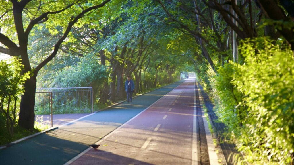 A picture of the Songpa Trail near Gwangnaru Hangang Park (광나루한강공원) in Seoul, South Korea.