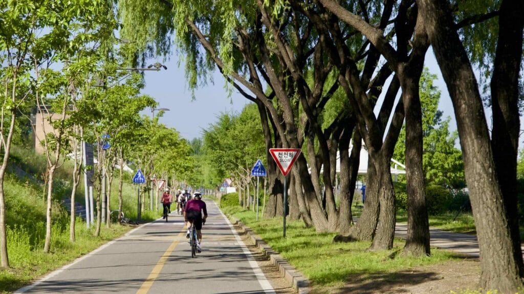 A picture of cyclists in Gwangnaru Hangang Park (광나루한강공원) in Seoul, South Korea.
