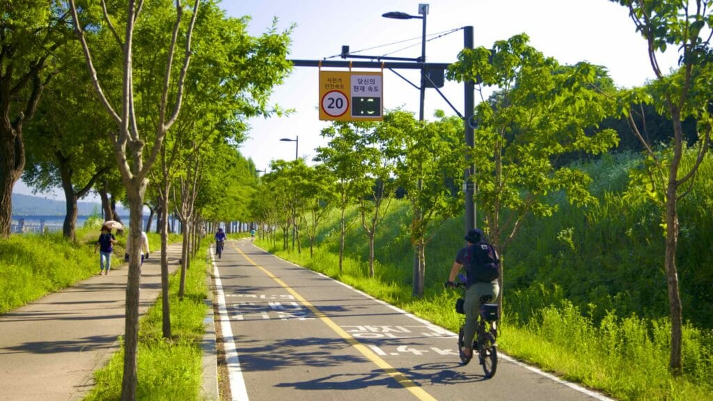 A picture of cyclists in Gwangnaru Hangang Park (광나루한강공원) in Seoul, South Korea.
