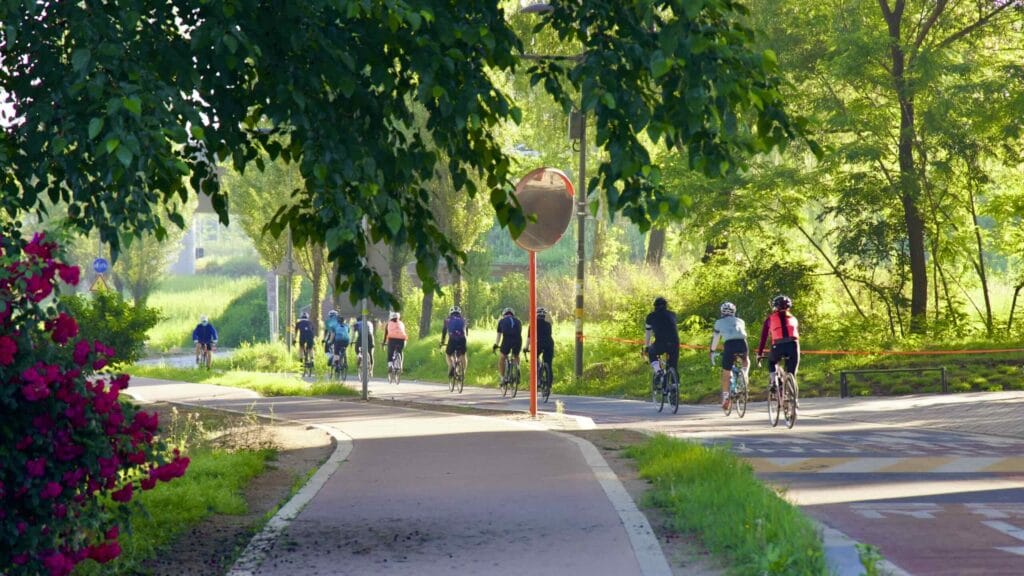 A picture of cyclists in Gwangnaru Hangang Park (광나루한강공원) in Seoul, South Korea.