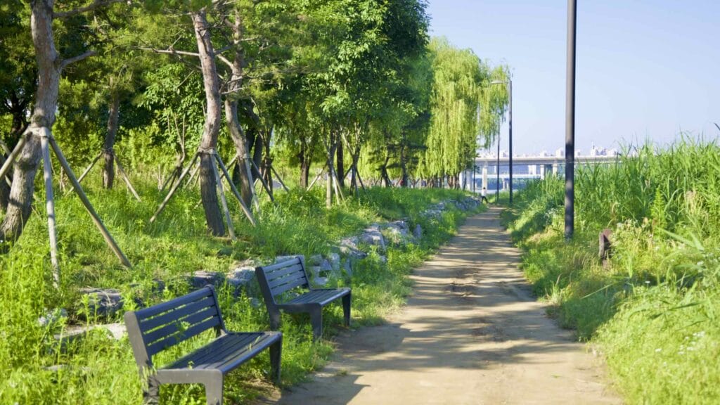 A picture of dirt walking paths and benches in Gwangnaru Hangang Park (광나루한강공원) in Seoul, South Korea.