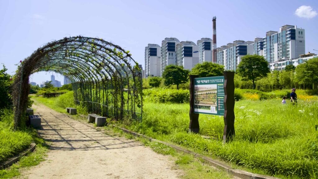 A picture of Ichon Hangang Park (이촌한강공원) in Seoul, South Korea.