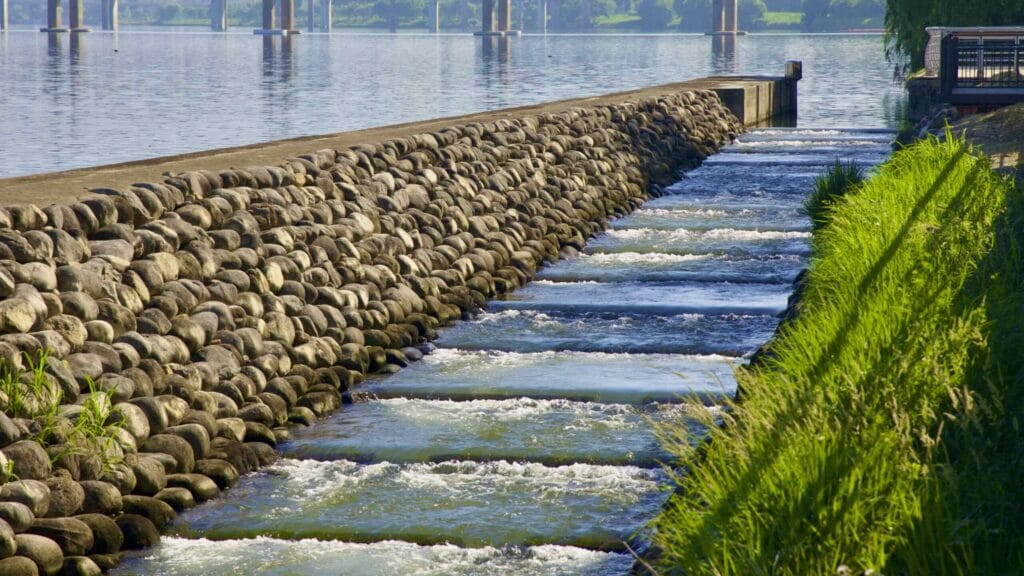 A picture of the Jamsil Fish Way (잠실물고기길) on Jamsil Bridge (잠실대교) in Jamsil Hangang Park (잠실한강공원) in Seoul, South Korea.