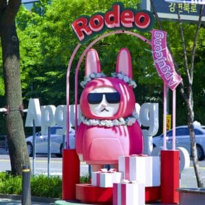 A picture of Apgujeong Rodeo Street (압구정 로데오거리) in the Gangnam District’s Apgujeong Neighborhood in Seoul, South Korea.