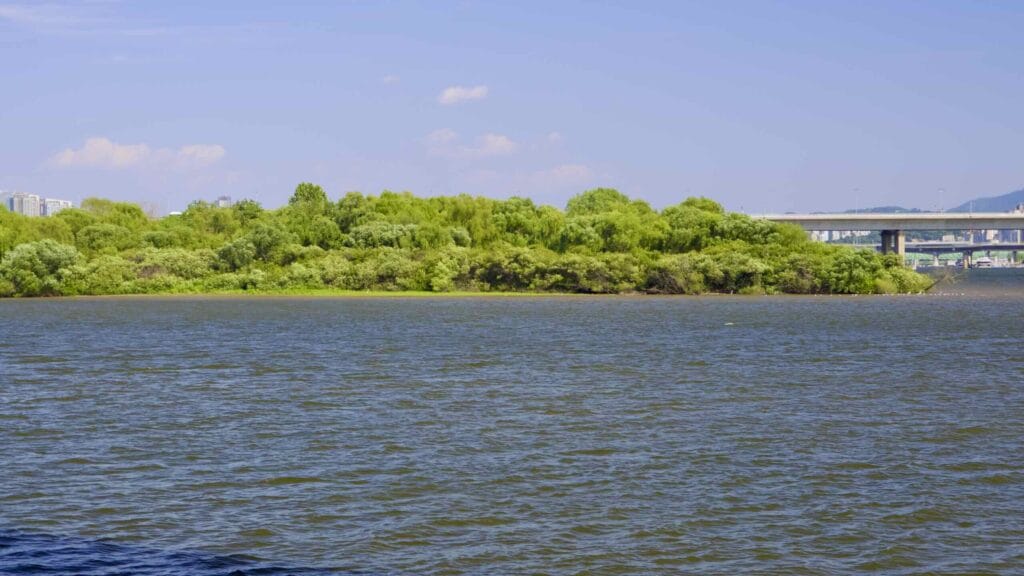 A picture of Bamseom Island (밤섬) on the Han River in Seoul, South Korea.