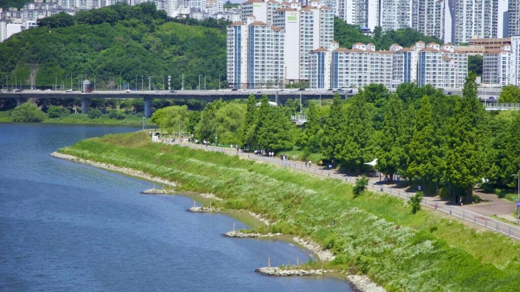 A picture of the bike paths in Ttukseom Hangang Park (뚝섬한강공원), in Seoul, South Korea.