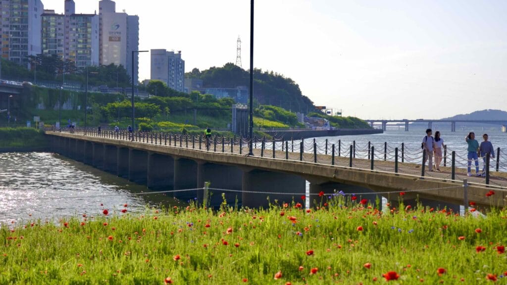 A picture of Anyang Stream (안양천) in Yanghwa Hangang Park (양화한강공원) in Seoul, South Korea.