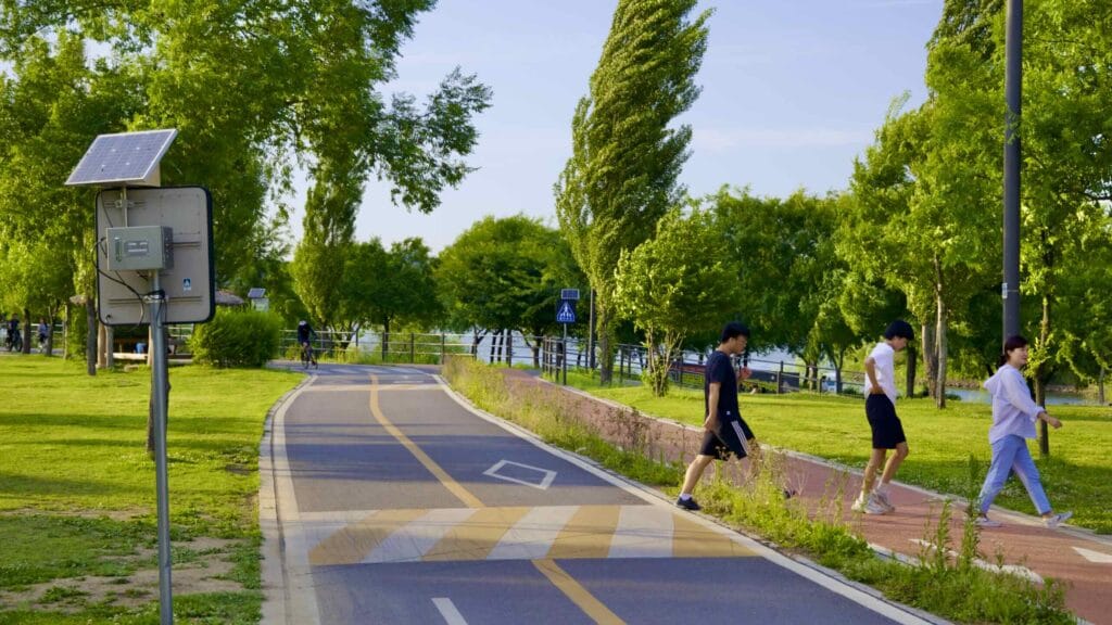 A picture of the cycling paths in Yanghwa Hangang Park (양화한강공원) in Seoul, South Korea.