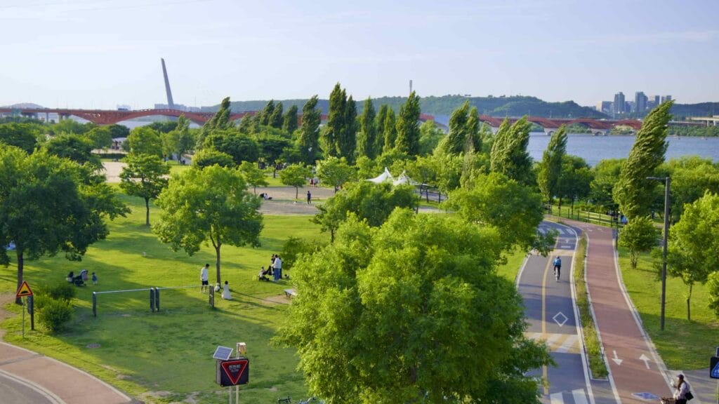 A picture of the lawns and cycling paths in Yanghwa Hangang Park (양화한강공원) in Seoul, South Korea.