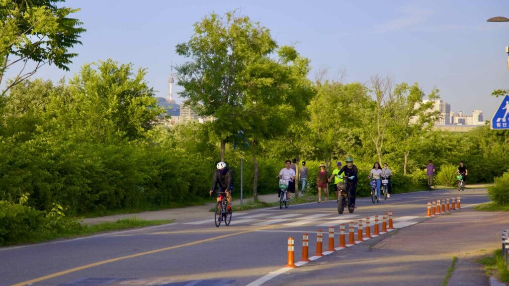 A picture of cycling paths in Yeouido Hangang Park (여의도한강공원) in Seoul, South Korea.