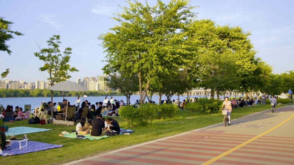 A picture of cycling paths in Yeouido Hangang Park (여의도한강공원) in Seoul, South Korea.