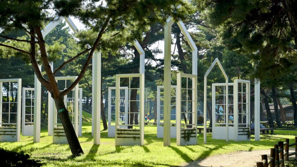 A picture of geumgangsong trees (금강송) at Uljin Wangpi Stream Eco Park (울진왕피천생태공원) along the Gyeongbuk (East Coast) Bicycle Path (동해안자전거길 (경북)) in Uljin County (울진군), South Korea.
