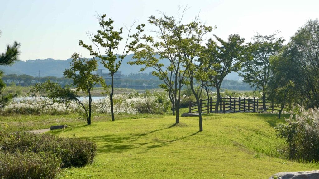 A picture of Uljin Wangpi Stream Eco Park (울진왕피천생태공원) along the Gyeongbuk (East Coast) Bicycle Path (동해안자전거길 (경북)) in Uljin County (울진군), South Korea.