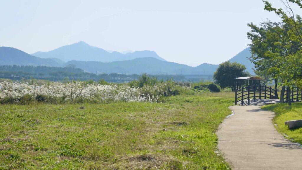 A picture of Uljin Wangpi Stream Eco Park (울진왕피천생태공원) along the Gyeongbuk (East Coast) Bicycle Path (동해안자전거길 (경북)) in Uljin County (울진군), South Korea.