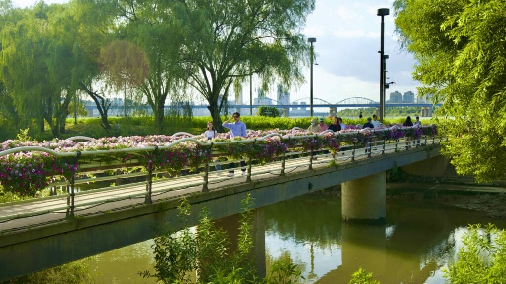 A picture of the Seorae Island (서래섬) in Banpo Hangang Park (반포한강공원) in Seoul, South Korea.