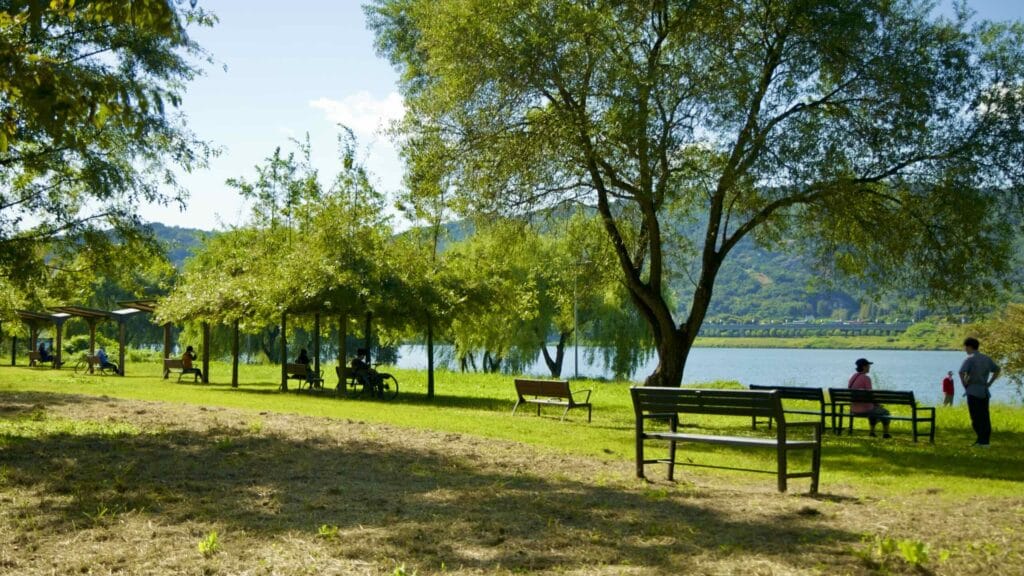 A picture of Amsa Ecological Park (암사생태공원) in Gwangnaru Hangang Park (광나루한강공원) in Seoul, South Korea.