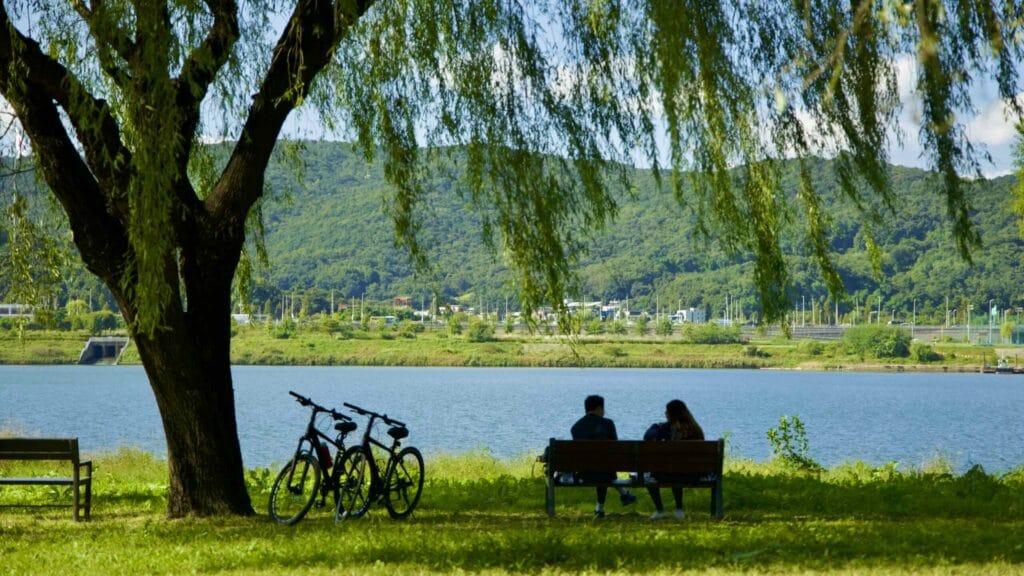 A picture of Amsa Ecological Park (암사생태공원) in Gwangnaru Hangang Park (광나루한강공원) in Seoul, South Korea.