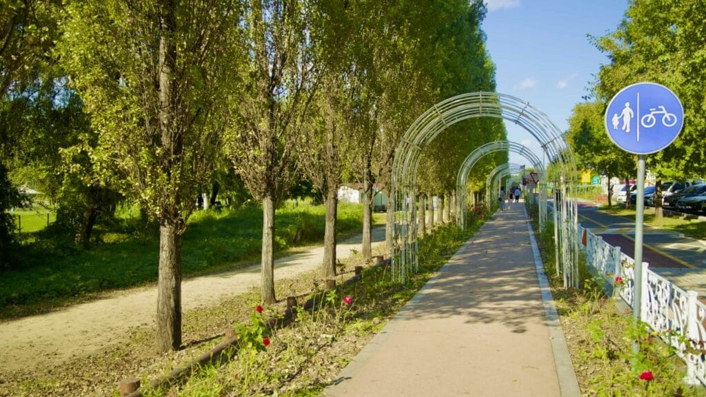 A picture of Amsa Ecological Park (암사생태공원) in Gwangnaru Hangang Park (광나루한강공원) in Seoul, South Korea.