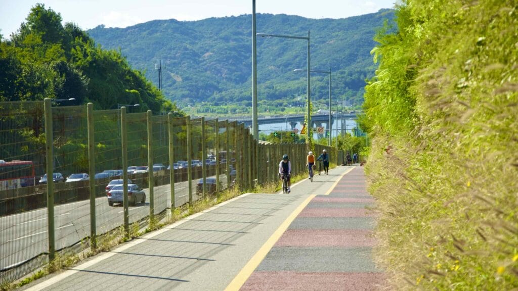 A picture of Amsa Pass (암사고개) in Gwangnaru Hangang Park (광나루한강공원) in Seoul, South Korea.