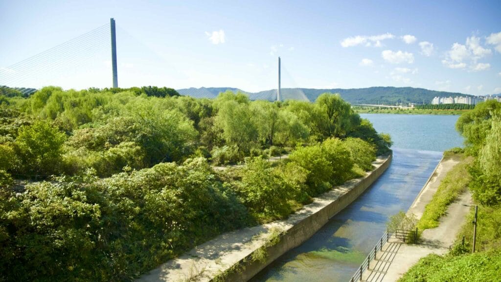 A picture of Godeok Ecological Park (고덕수변생태공원) in Gwangnaru Hangang Park (광나루한강공원) in Seoul, South Korea.