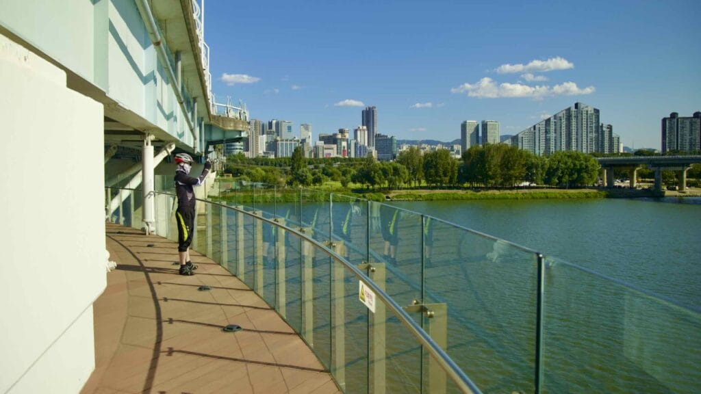 A picture of Riverview 8th Avenue (광진교 8번가) under Gwangjin Bridge (광진교) near Gwangnaru Hangang Park (광나루한강공원) in Seoul, South Korea.
