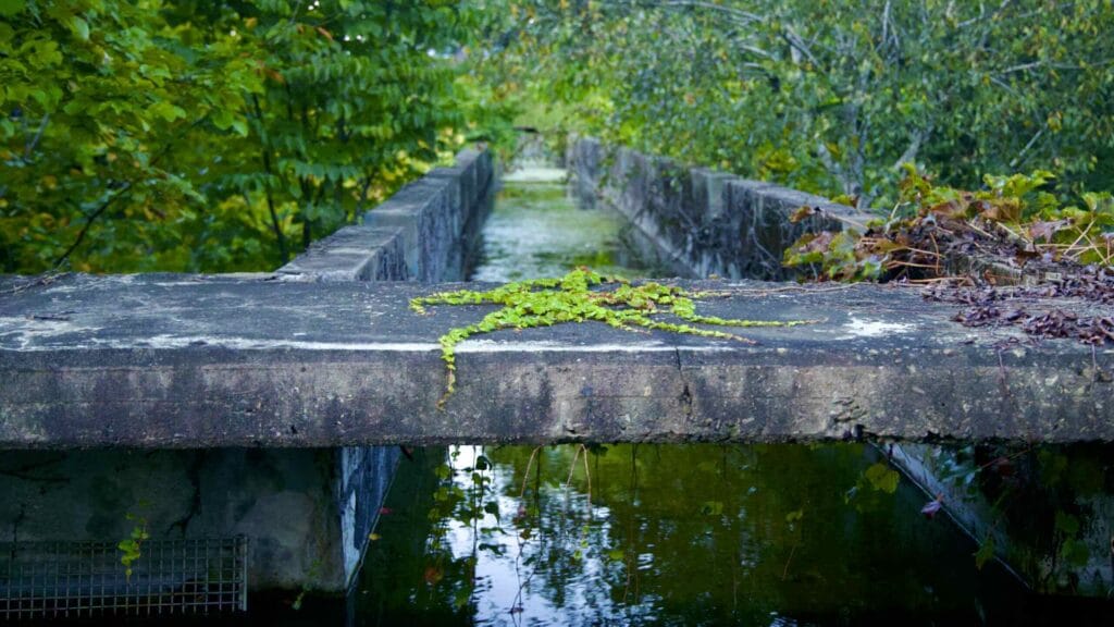 A picture of Seonyu Island Park (선유도공원) in the Han River near Yanghwa Hangang Park (양화한강공원) in Seoul, South Korea.