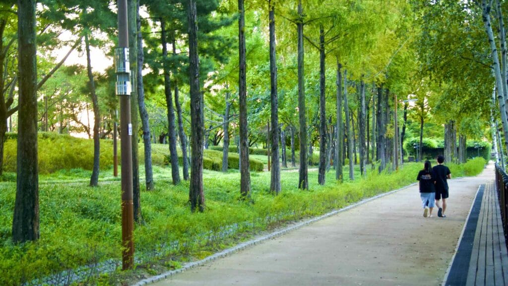 A picture of Seonyu Island Park (선유도공원) in the Han River near Yanghwa Hangang Park (양화한강공원) in Seoul, South Korea.