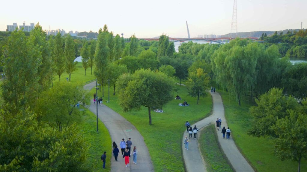 A picture of the lawns and cycling paths in Yanghwa Hangang Park (양화한강공원) in Seoul, South Korea.