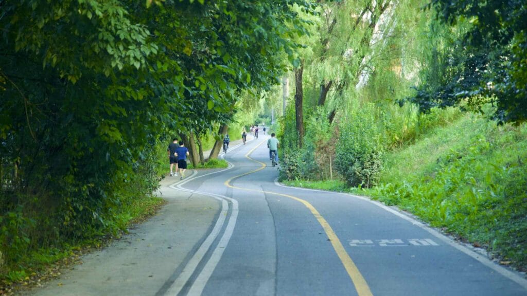 A picture of Saet Stream Ecological Park (샛강생태공원) along the Saet Stream on Yeouido Island in Seoul, South Korea.