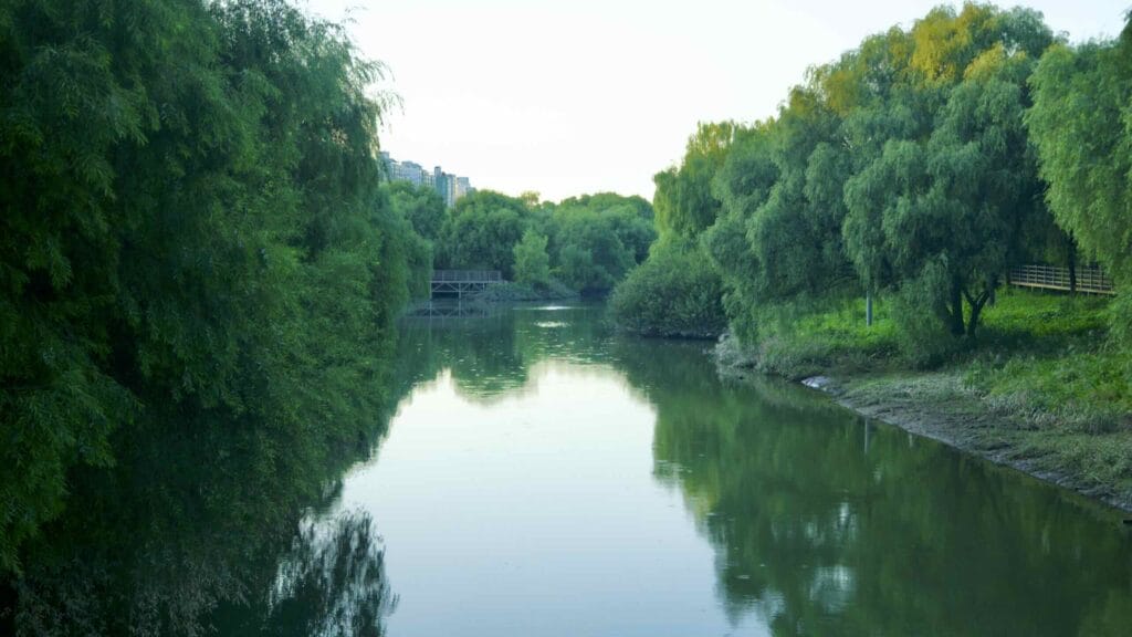 A picture of Saet Stream Ecological Park (샛강생태공원) along the Saet Stream on Yeouido Island in Seoul, South Korea.